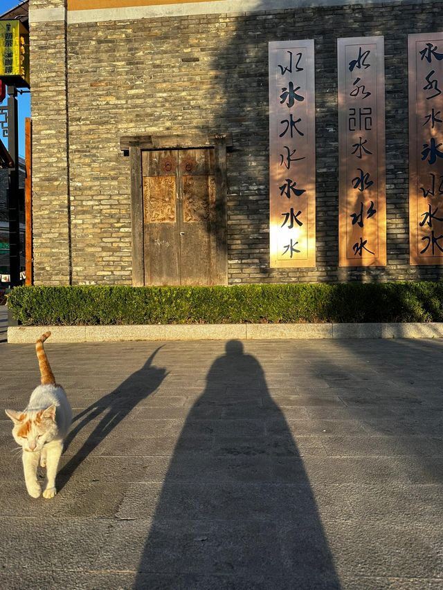 太行水鎮。