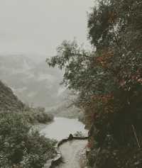 探秘雲南深處：霧里村，揭開茶馬古道的神秘面紗！