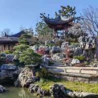【上海/申園】落ち着いた江南庭園！