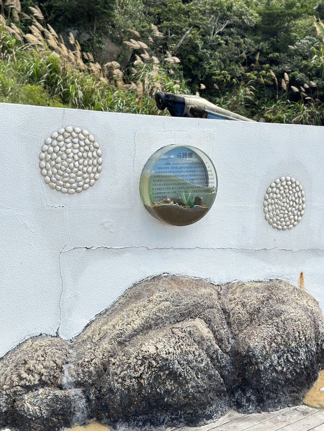 枸杞島旅遊攻略來自克蘭因藍的海島日記