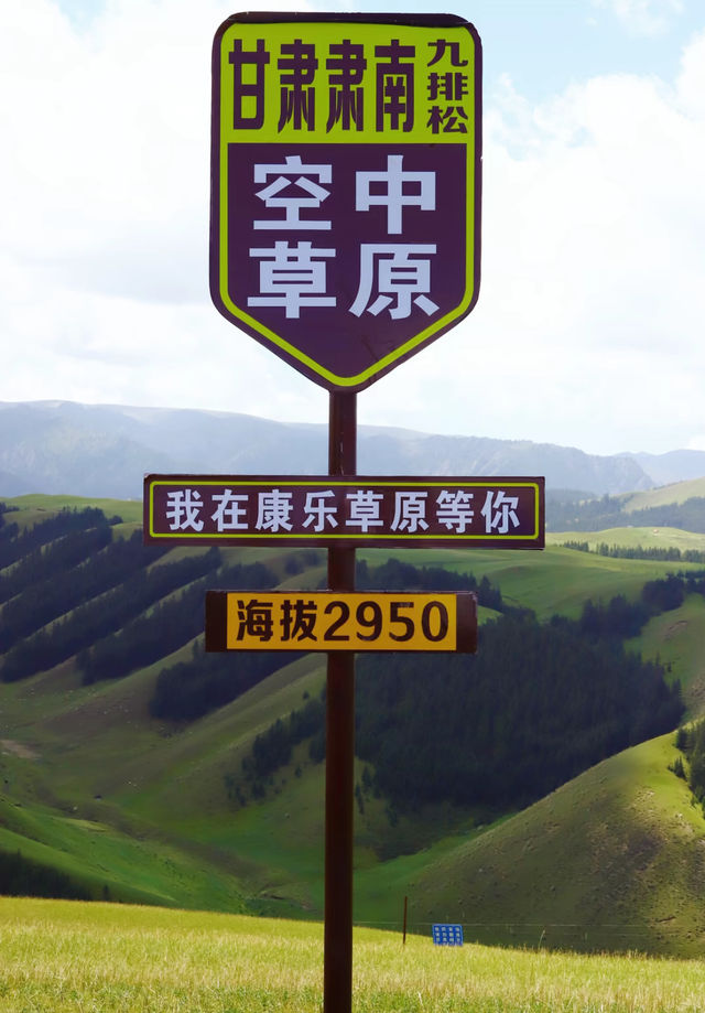 康樂草原 空中草原。