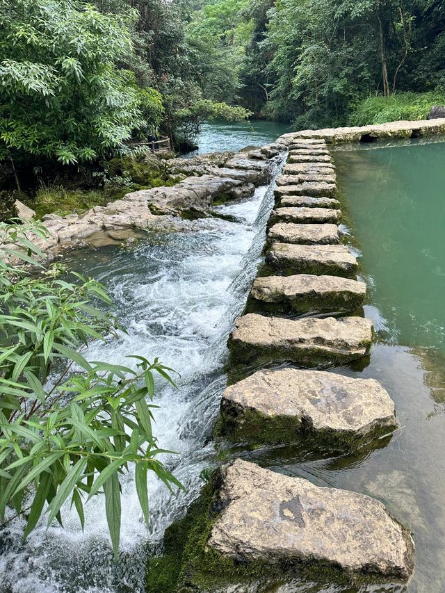 貴州|茂蘭|自然秘境的神秘面紗。