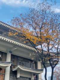 西安賞秋攻略：秋日的浪漫與美麗 。
