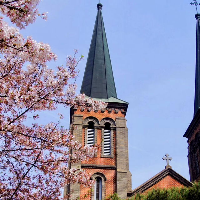 Daegu metropolitan city. Church beauty with Cherry Blossoms