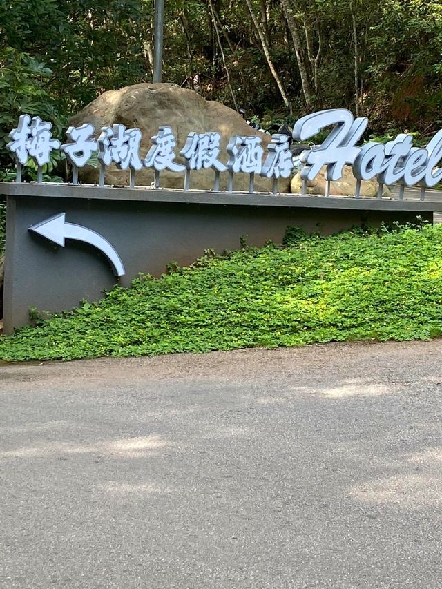 普洱梅子湖 | 人間仙境般的寶藏之地。