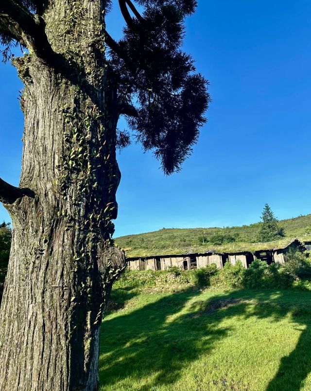 馬來西亞鬥湖：自然人文交織的美景地。