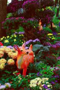 又到了醉白池最美的季節。