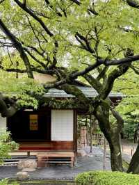 松風幽徑——福岡松風園的寧靜之旅