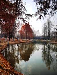 浐灞濕地公園|景美景奇生態佳之地。
