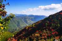 海棠山秋色。
