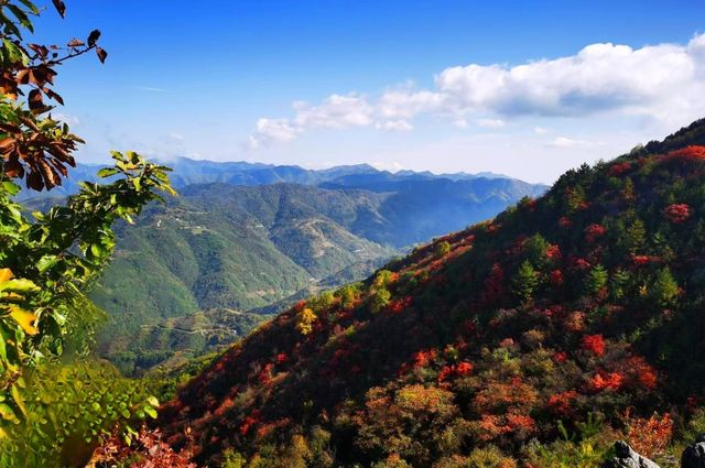 海棠山秋色。