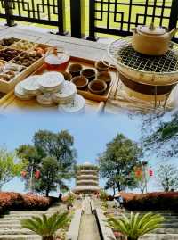 歡迎大家到我的家鄉貴州茶海。