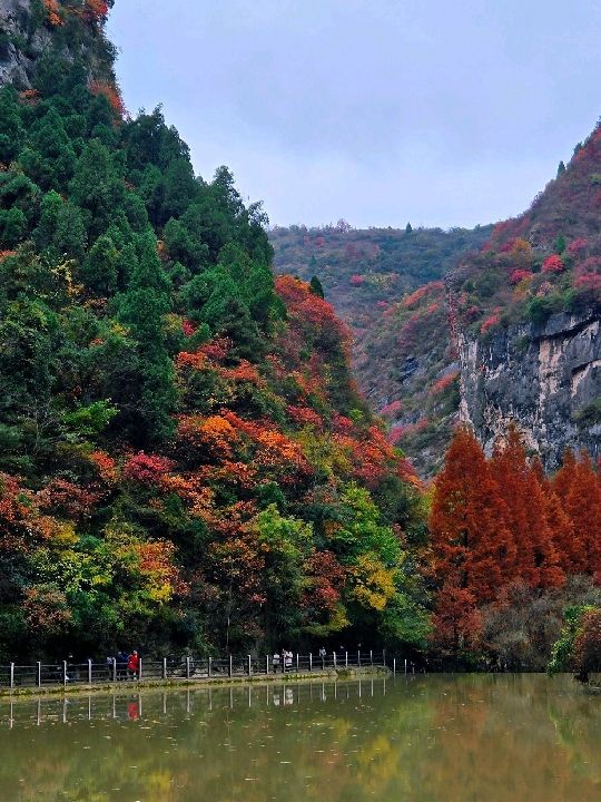 西狹頌紅葉盛景：秋韻中的歷史低吟