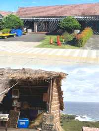 巴坦島椰林搖曳，碧海藍天，如夢幻畫卷般迷人。