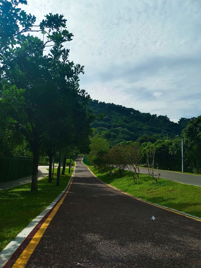 週末打卡‖淘金山綠道。