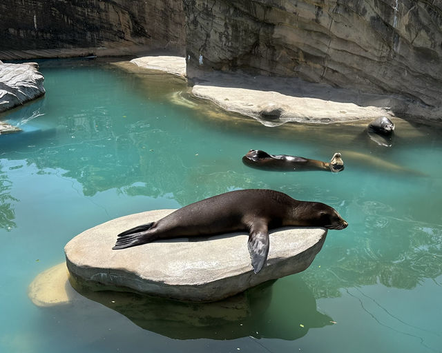 Nagoya Travel Guide: Higashiyama Zoo and Botanical Gardens