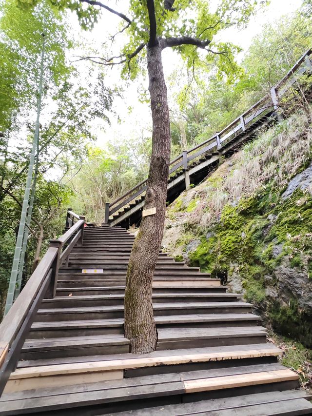 安期峰。