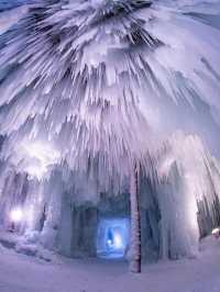 What to Do in Winter in Hokkaido? Don't Miss These 5 Stunning Winter Festivals