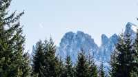 多洛米蒂 Forestis Dolomite。