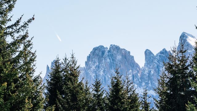 多洛米蒂 Forestis Dolomite。