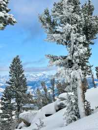 Scenery of Heavenly Ski Resort at Lake Tahoe! 