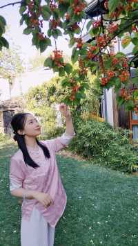 麗江束河又一居，入住皇家園林般的復古民宿。