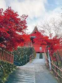 東京賞紅葉｜可能99%的人都不知道在這裡。