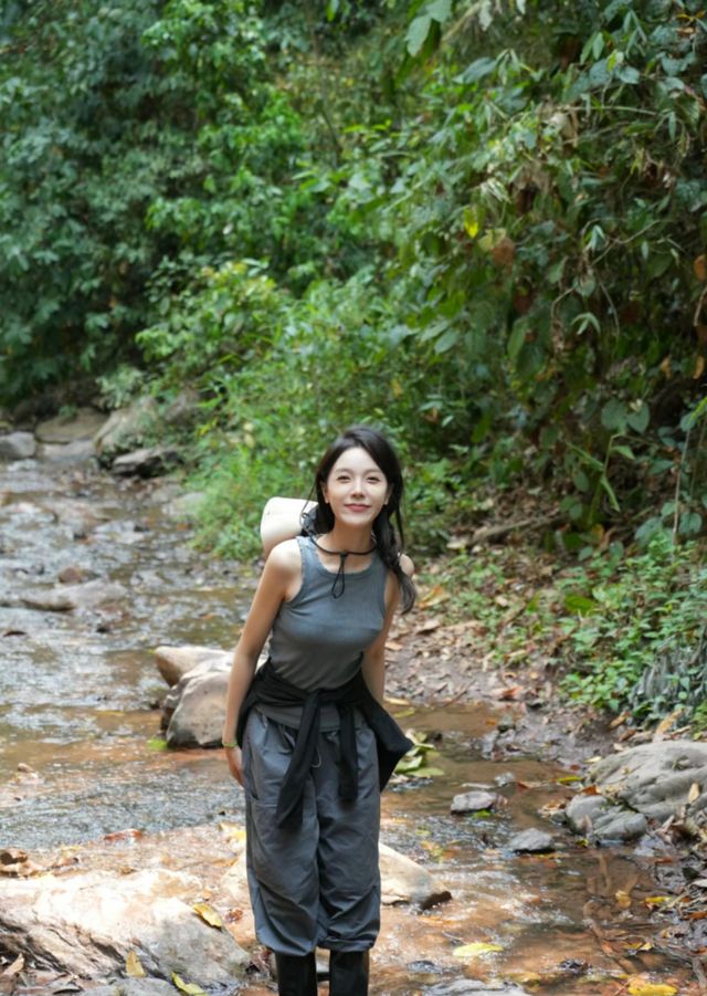 西雙版納基諾山巴朵雨林行山。