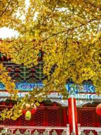 青島湛山寺 | 鬧市中的心靈淨土。