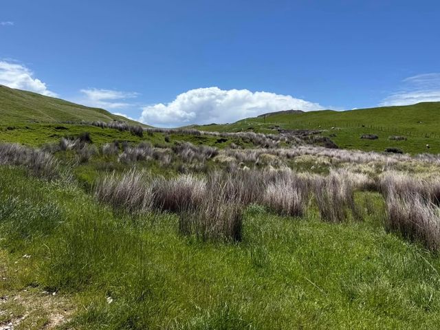 探索新西蘭南島的隱秘角落——Cape Farewell。
