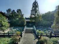 浙江杭州慧因高麗寺。