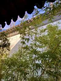 一角靜謐問津園。