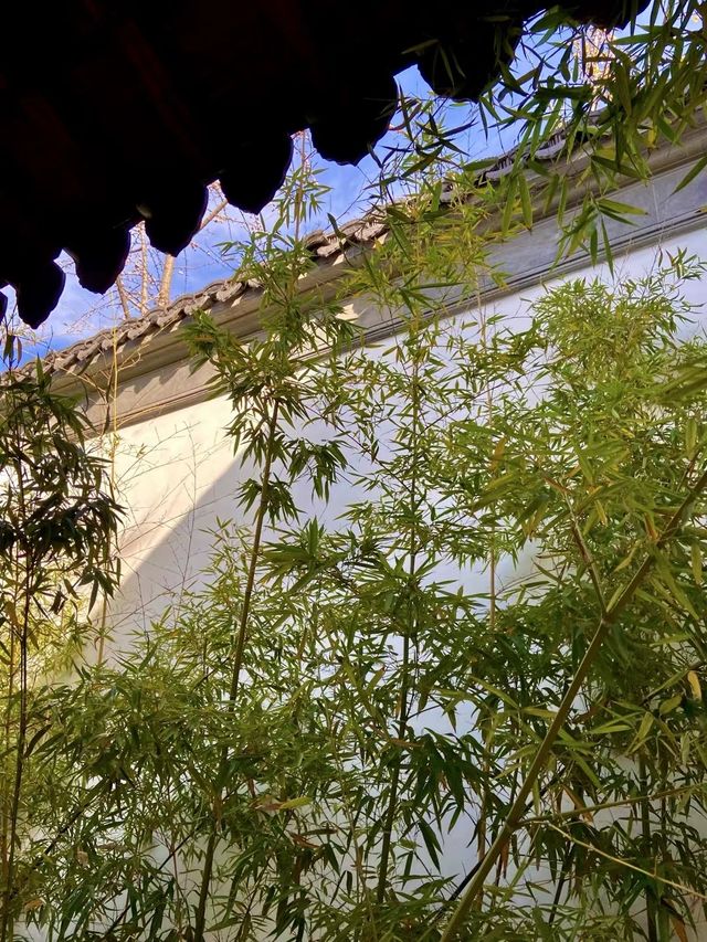 一角靜謐問津園。