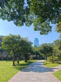 好像遇到了綠光森林！不敢相信這是荔枝公園