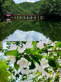 【豫】→ 白雲山 九龍瀑布