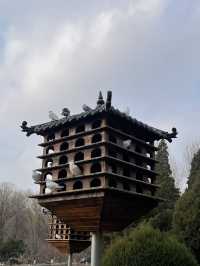 冬日錦州2日遊 輕鬆 get 美景