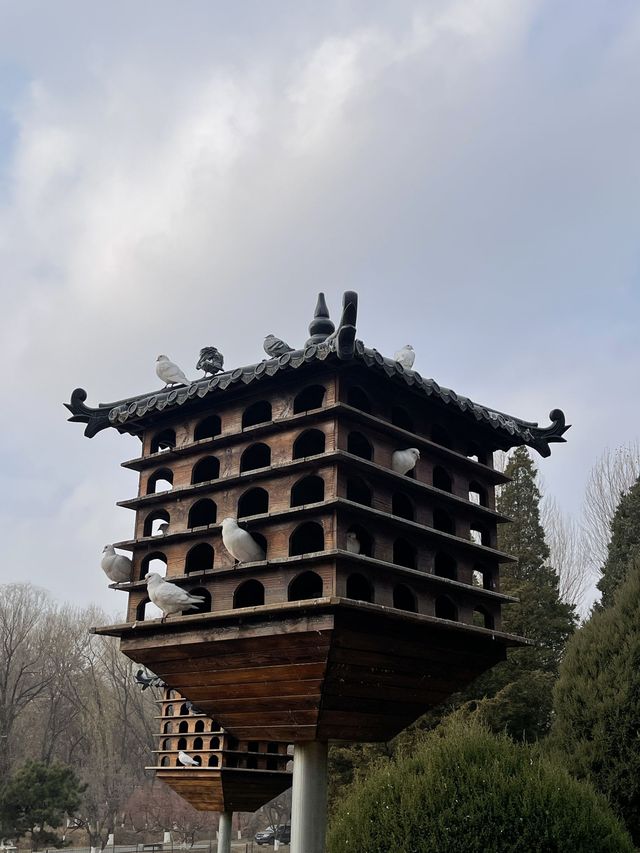 冬日錦州2日遊 輕鬆 get 美景