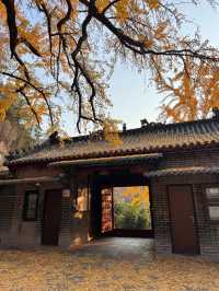 臨沂費縣叢柏庵，山寺清幽，來者皆誠！