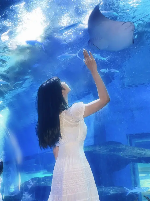 武漢海洋公園攻略