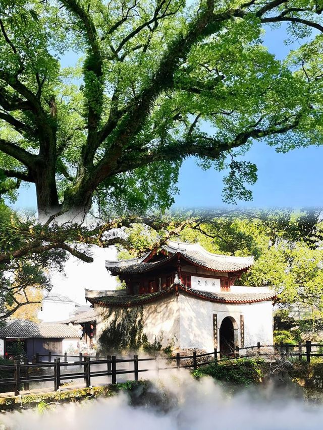 麗水·古堰畫鄉|畫裡水鄉,心靈歸處 麗水·古堰畫鄉|畫裡水鄉,心靈歸處