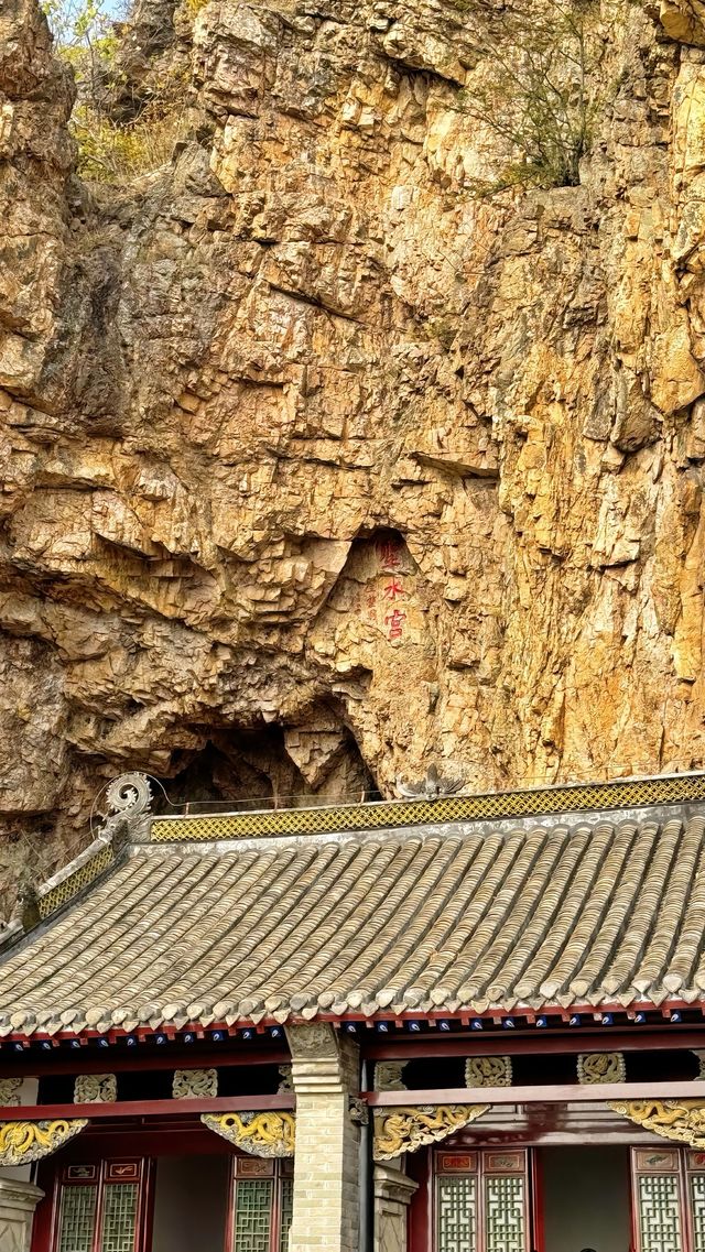 遼寧丹東|大孤山•看看這千年銀杏樹