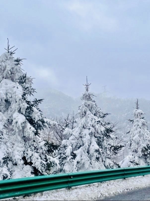 坐上秦嶺小火車，向冰雪國度進發咯