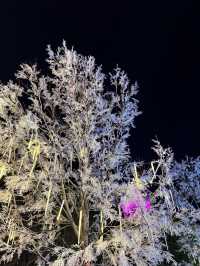 方特冰雪新年夜，鄭州方特歡樂世界的冬日奇蹟