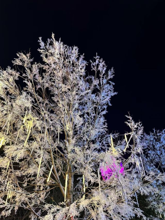 方特冰雪新年夜，鄭州方特歡樂世界的冬日奇蹟