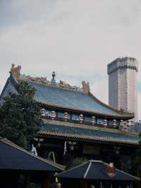A Day at Phantasialand: Roller Coasters and Fun