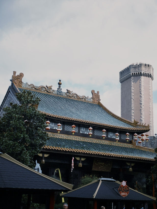 A Day at Phantasialand: Roller Coasters and Fun