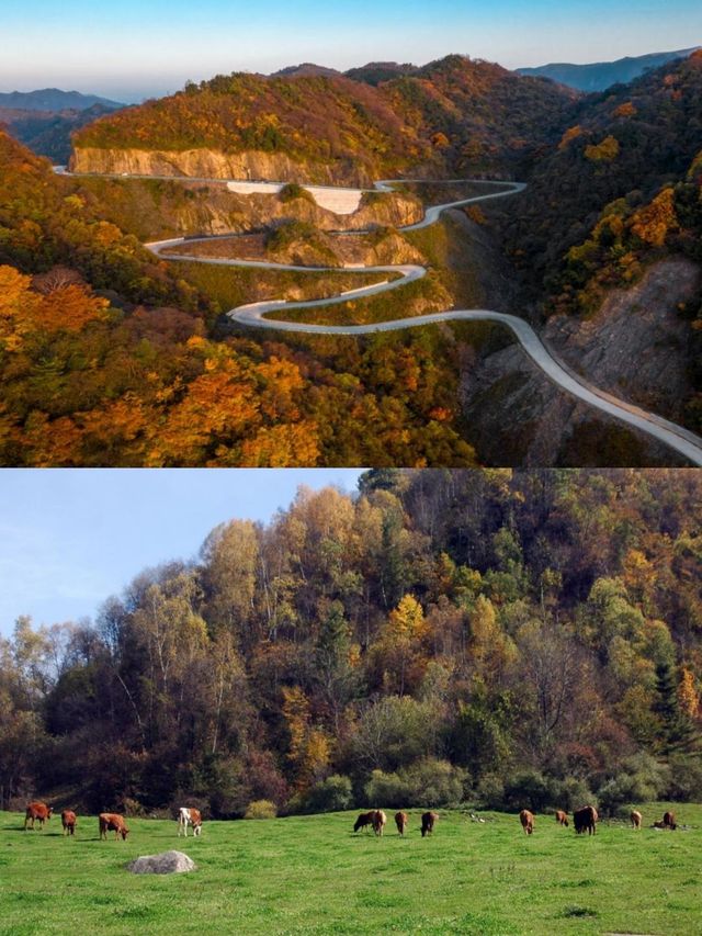 漢中跨年2日遊 玩轉冬日美景