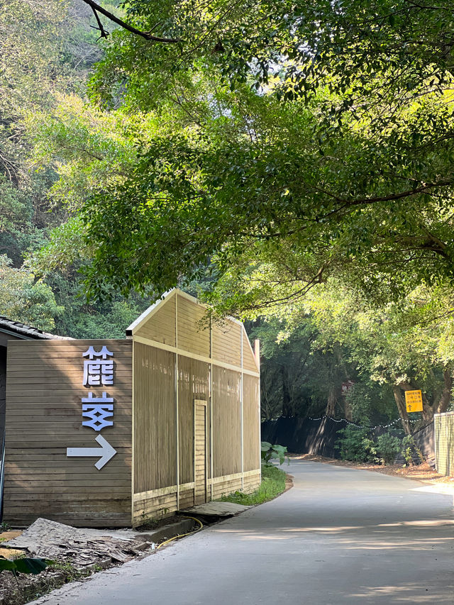 露營好去處！今晚就在廣州露營吧！