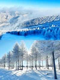 萬龍滑雪場旅遊指南
