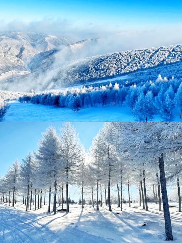 萬龍滑雪場旅遊指南